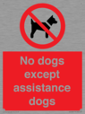 no-dogs-except-assistance-dogs~
